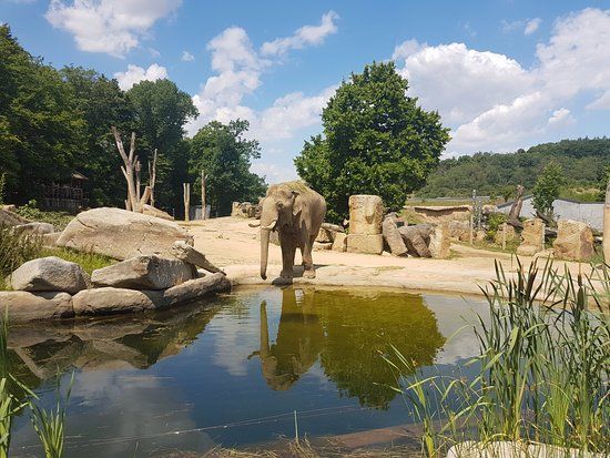 Prague Zoo
